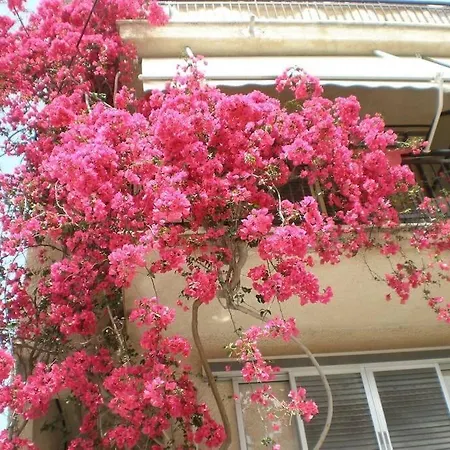 Apartamento Two-room With Balcony Near The Sea Tolón